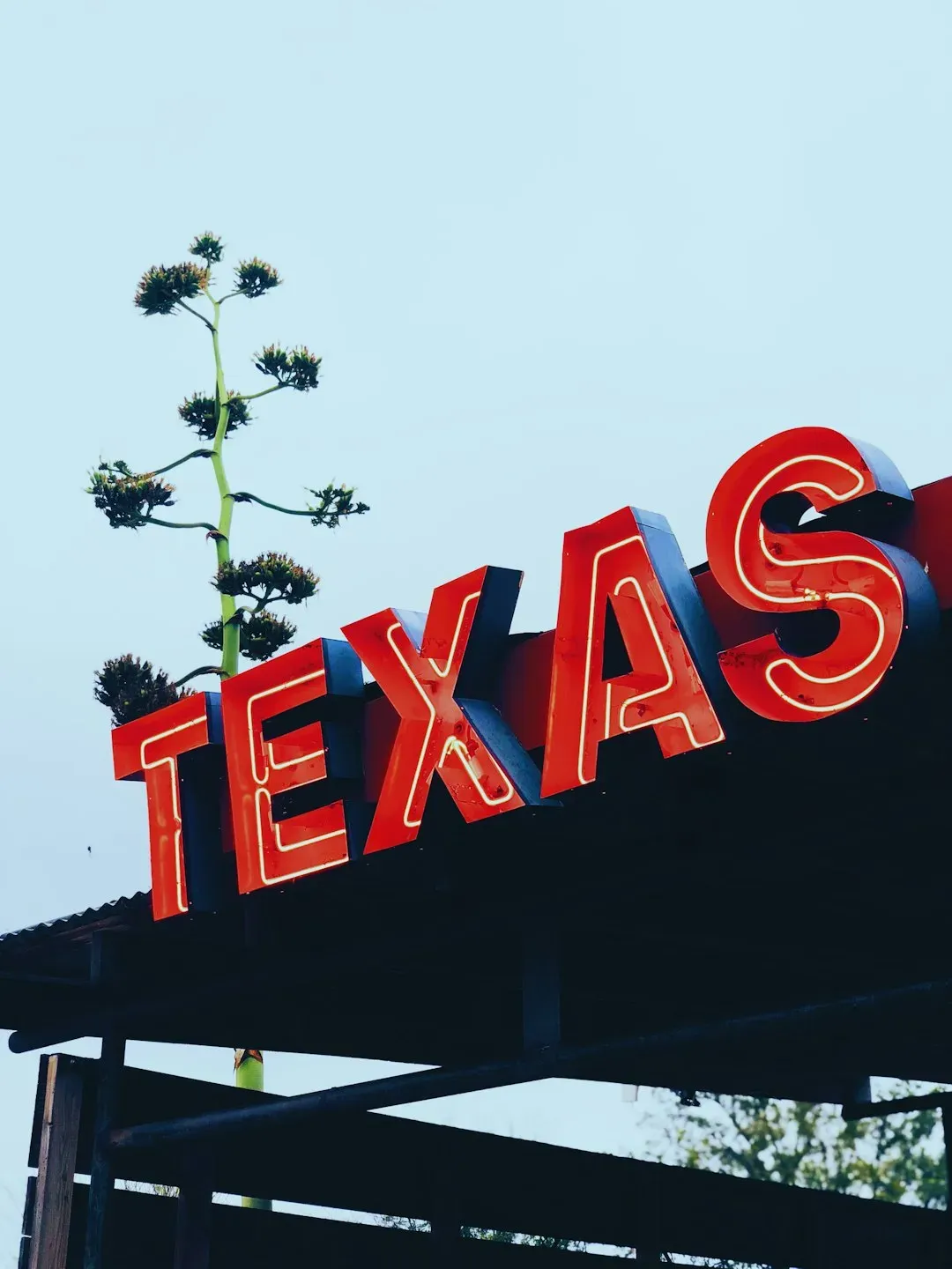 McAllen, Texas: heat with humidity attached (Image Credits: Unsplash)