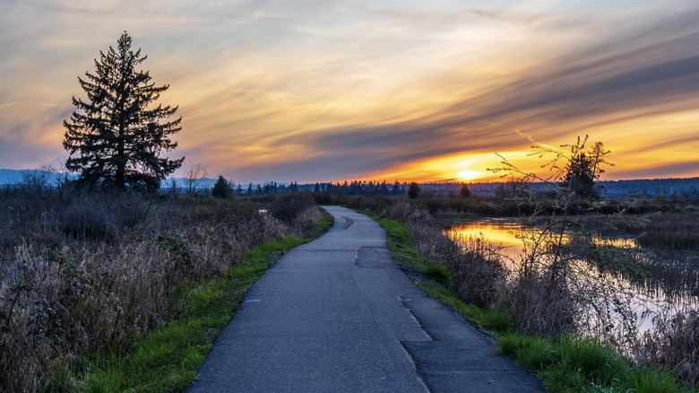 A paved trail lined at sunrise in Olympic View Park in Marysville, Washington