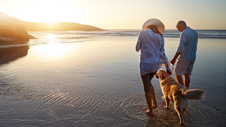 One of the best places to retire in Southern California is also home to the 'world's safest beach'
