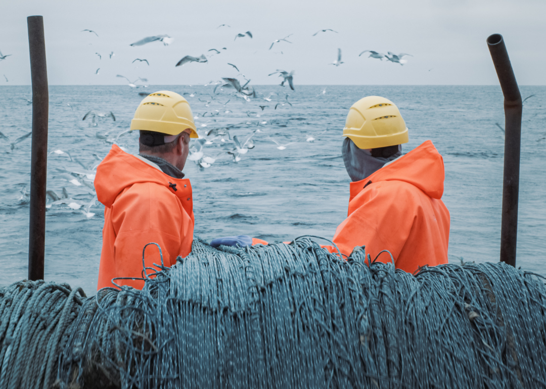 From snake milkers to galley rowers: 25 of history's deadliest jobs