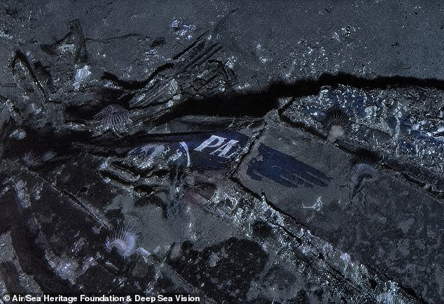 This is the full picture of the Pan Am logo taken by the search team. 'When the images came back from the AUV, we all gasped,' said Gates, the Expedition Unknown host