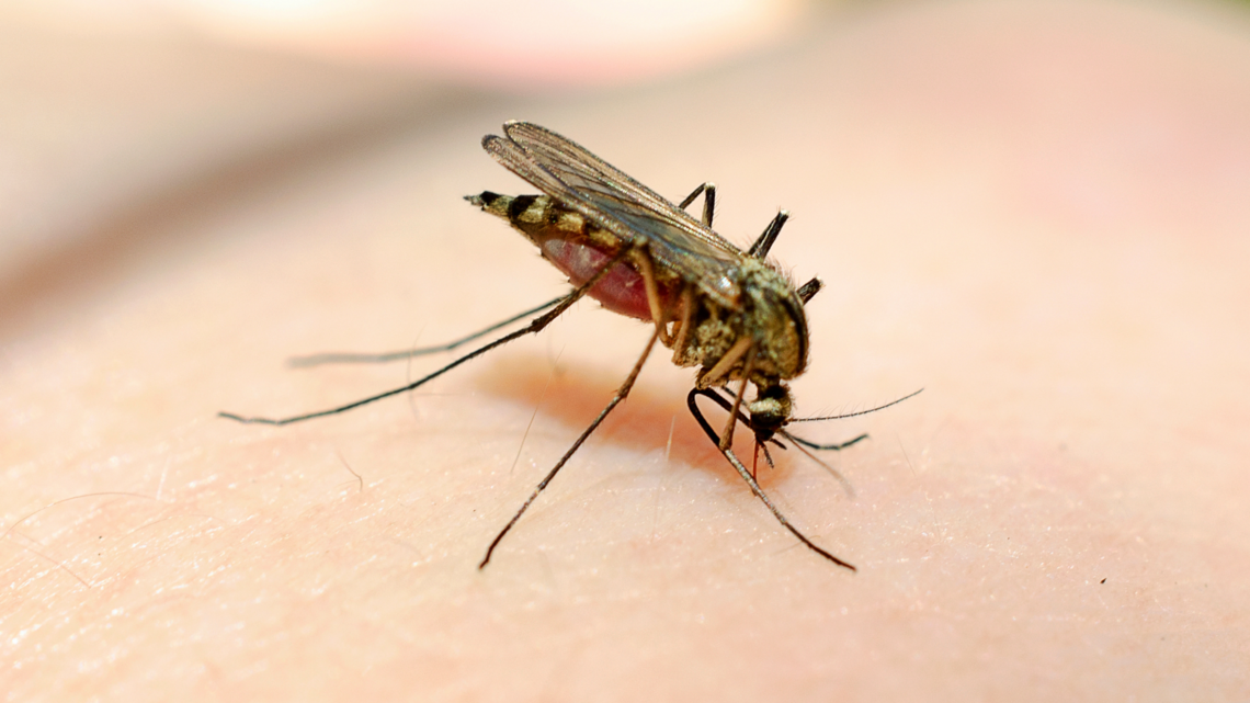 Eleven people in North Carolina got West Nile virus in 2025.