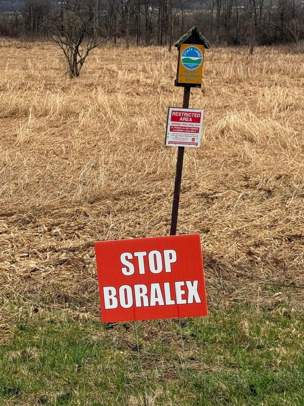 Feds — and a country music star — slam Gov. Hochul’s push to blanket upstate NY farmland with solar energy panels: ‘On-brand elitism’