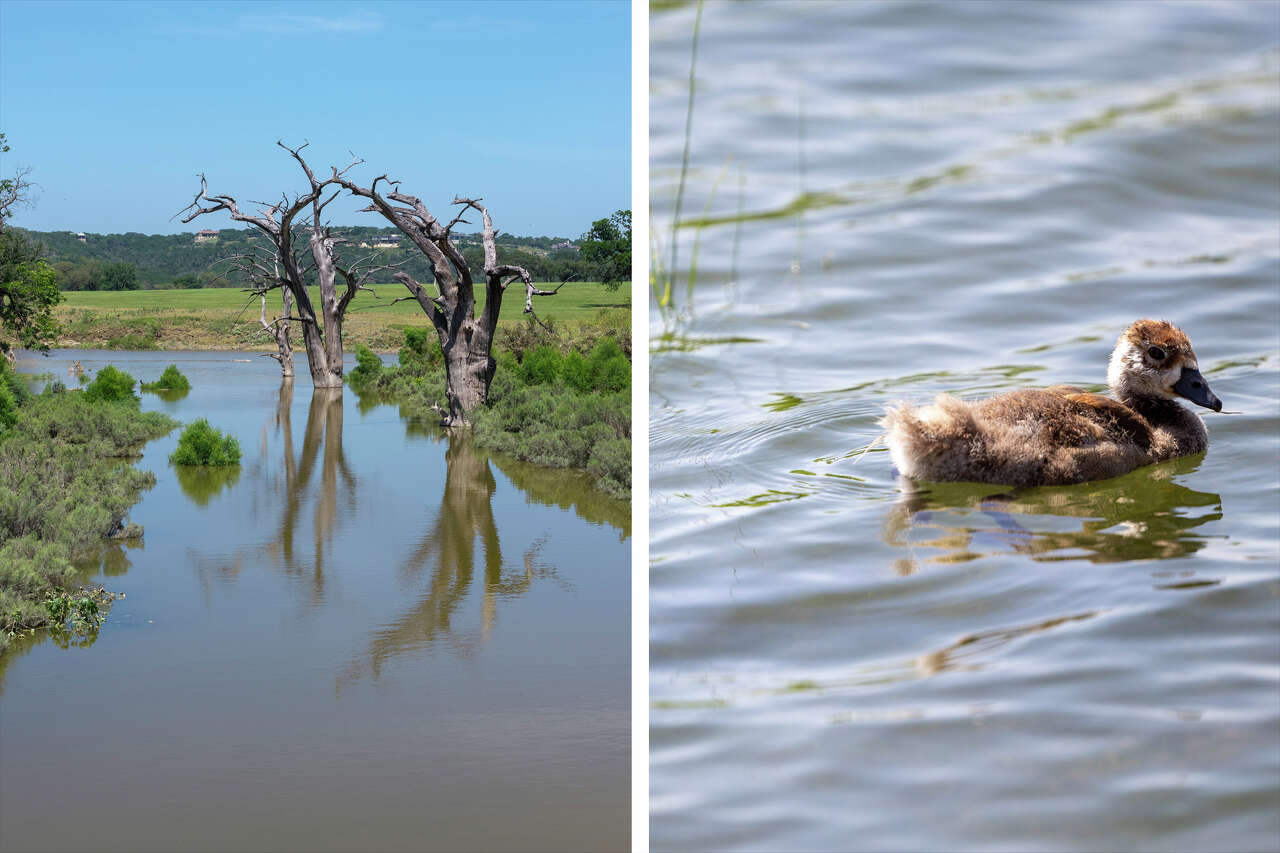 Guadalupe River flooding sends surge into Canyon Lake. See the photos.