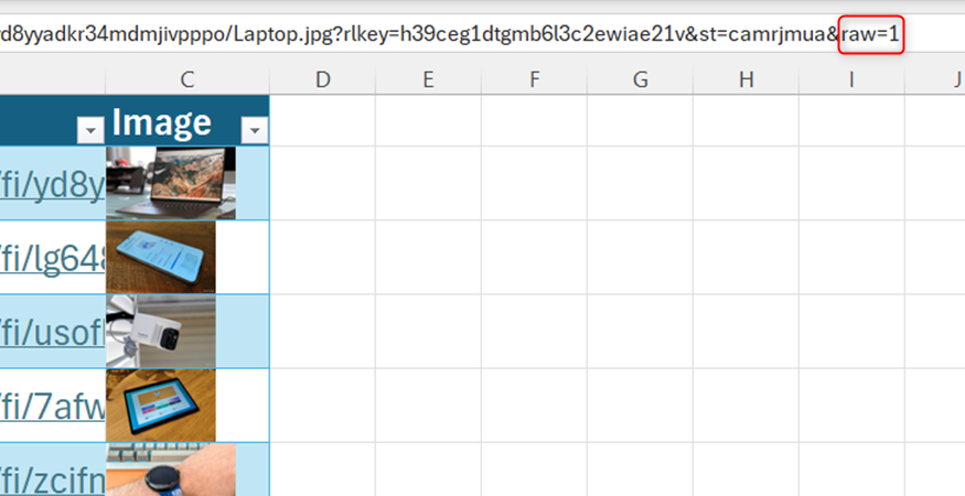 A URL in the Excel formula bar ends with raw=1.