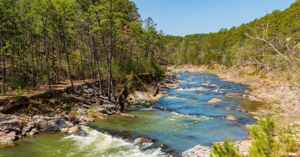 Sunny view of the landscape of Friends Trail Loop Trail in Beavers Bend State Park