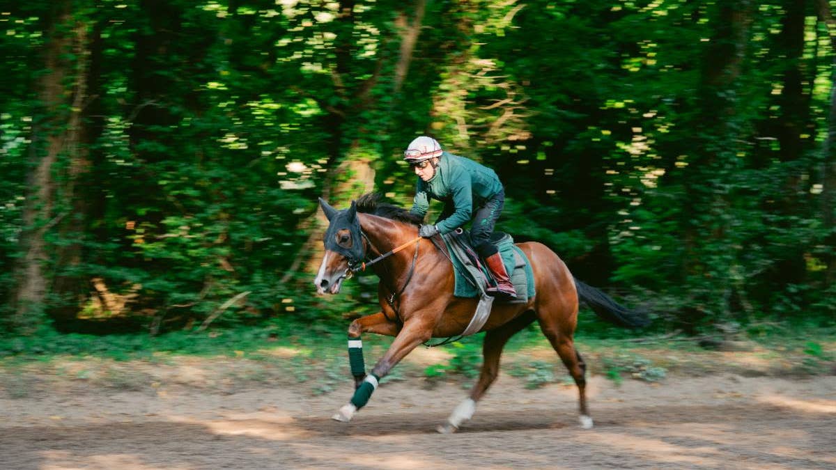 Calandagan Tries To Go Back-To-Back In King George VI And Queen Elizabeth Stakes