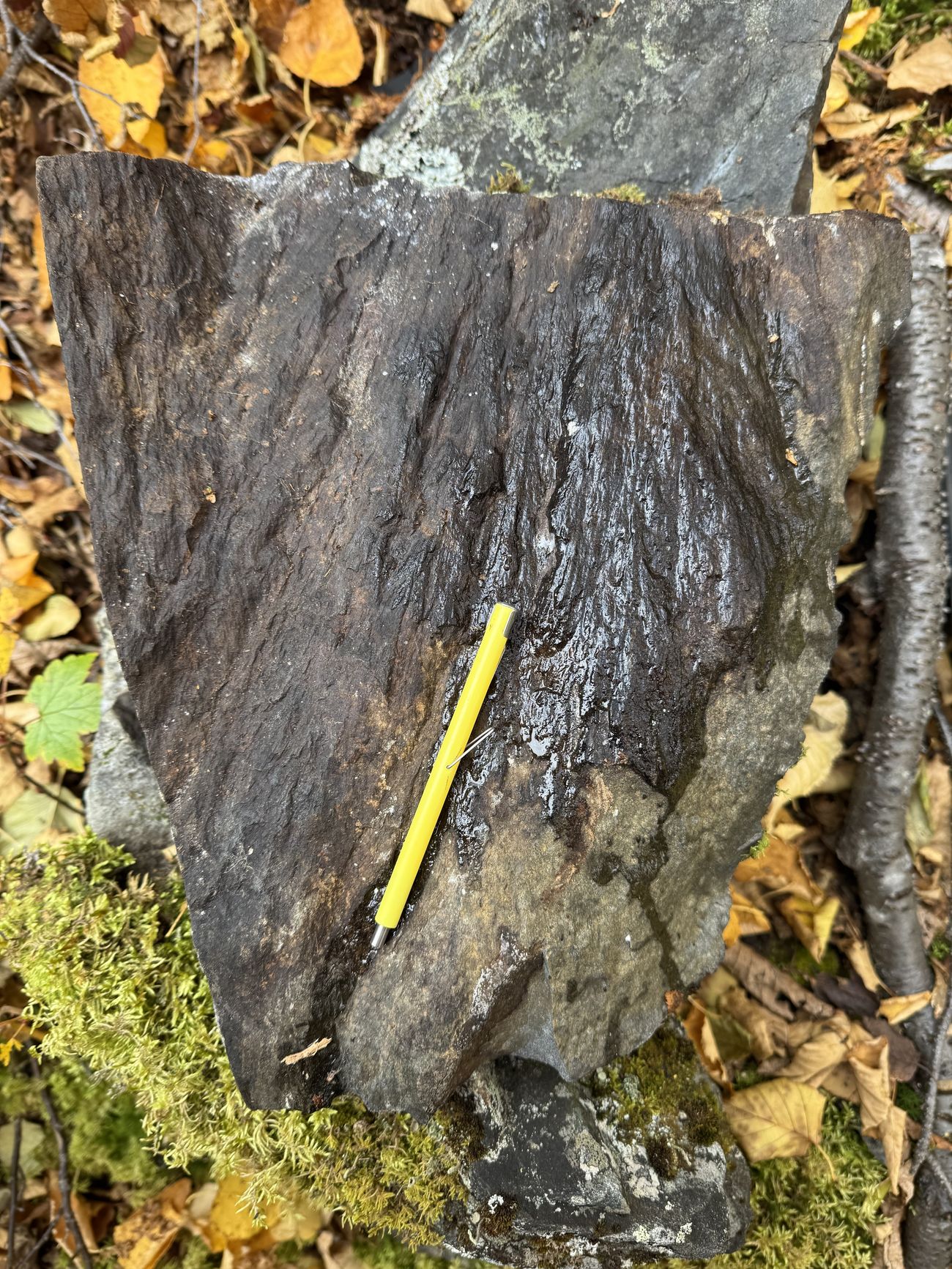 a rock with a yellow tool