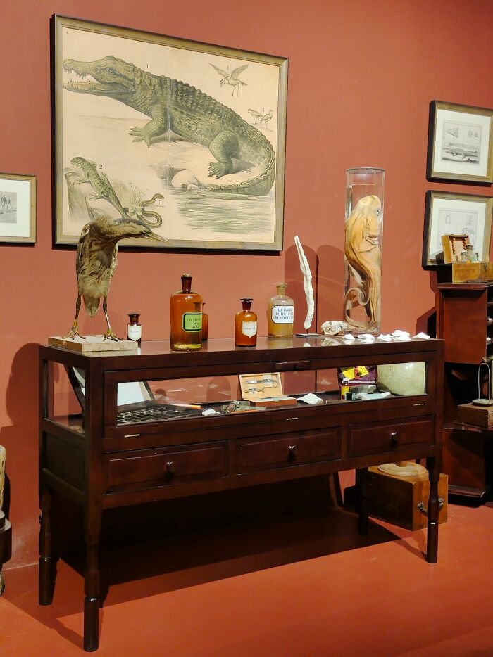 47 Museum Employees Share Coolest Facts And Experiences From Their Jobs