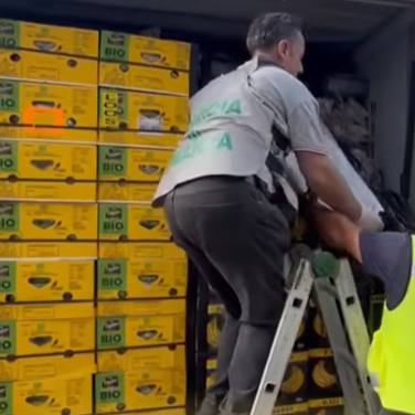 Italian police on Tuesday said they had seized about 1,700 pounds of cocaine hidden inside containers of bananas at a port in northwest Italy.