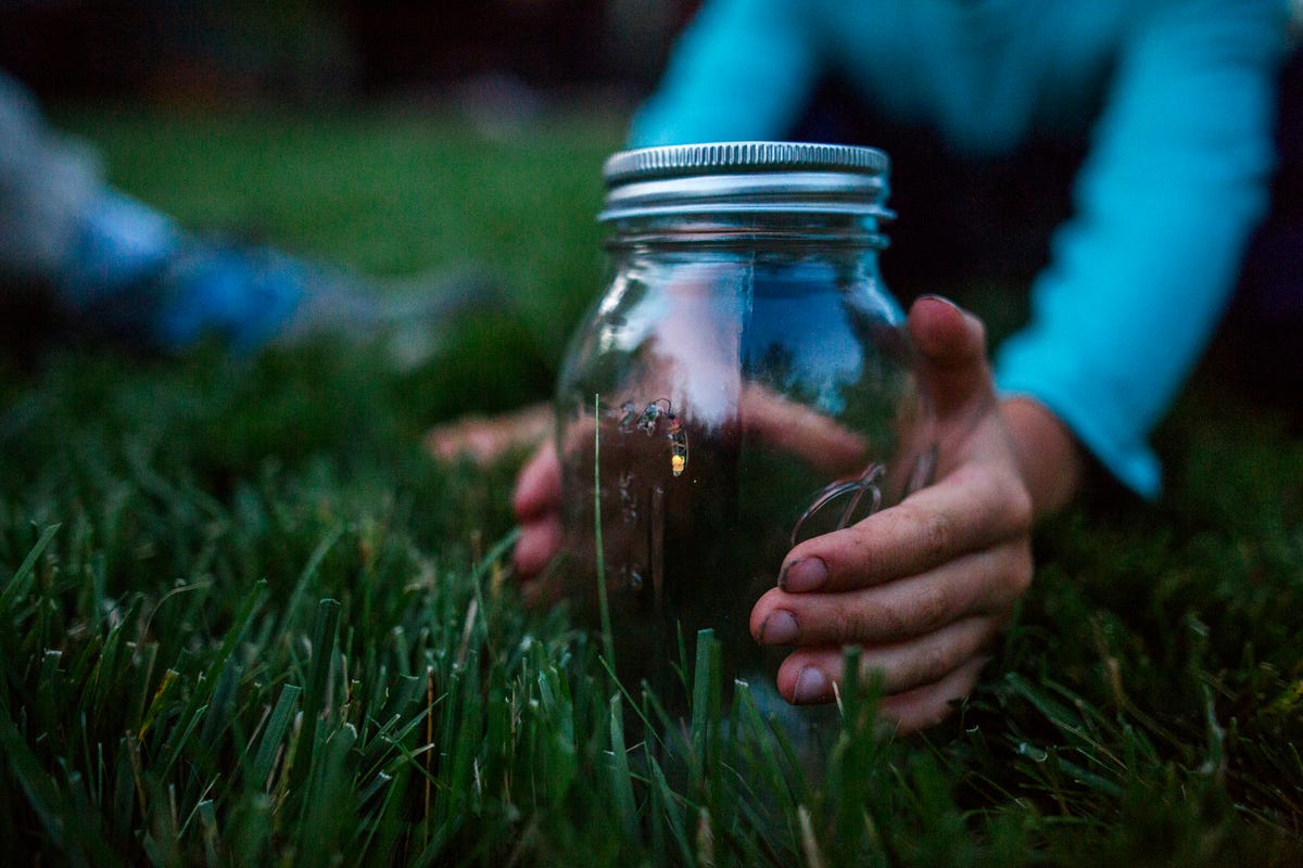 experts say making these changes to your yard will bring fireflies back - boy holding jar with firefly
