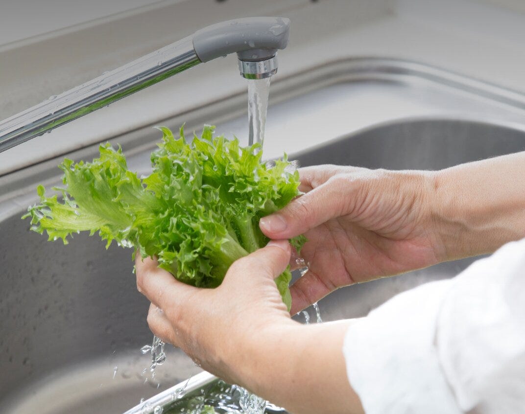 Cyclosporiasis outbreak is changing how Tennessee diners order lettuce, restaurants say