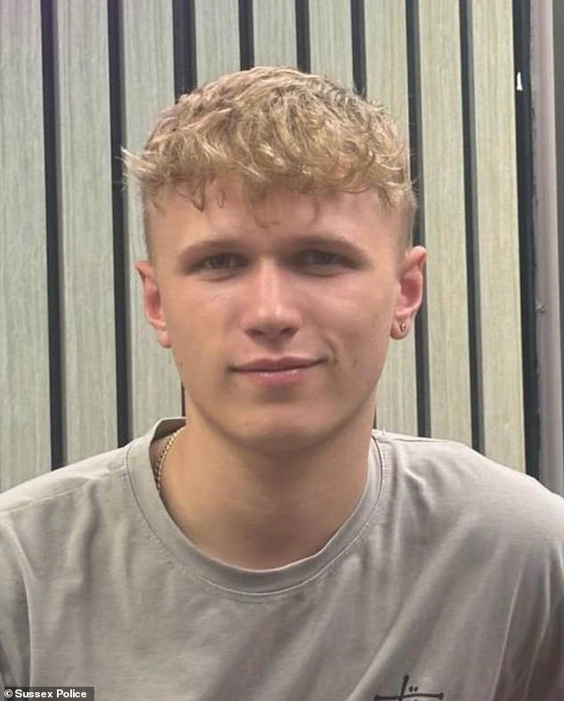 Edward Pearce, known as Bunty, was killed after the van he was in broke down on an A-road and was smashed by a Mercedes Sprinter van