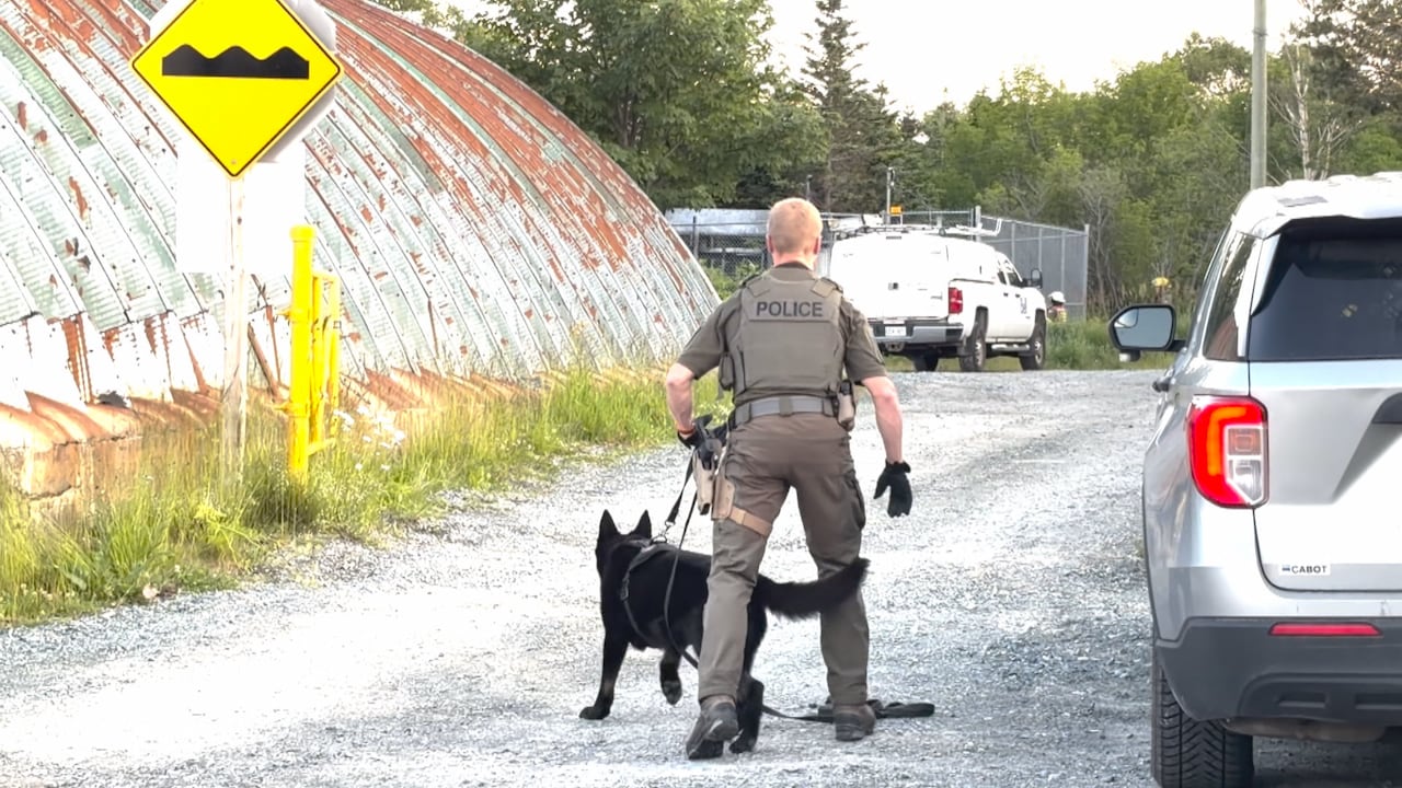 Police in St. John’s connect Pippy Park fire to five previous cases
