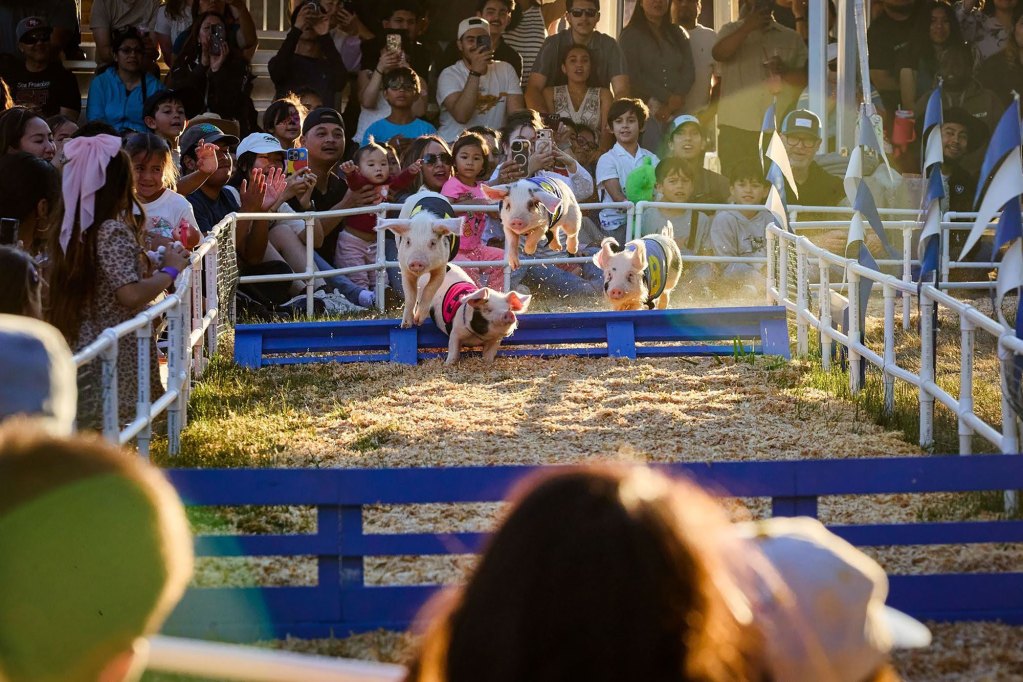 Alameda County Fair draws 400,000 visitors, generates $312 million for local economy