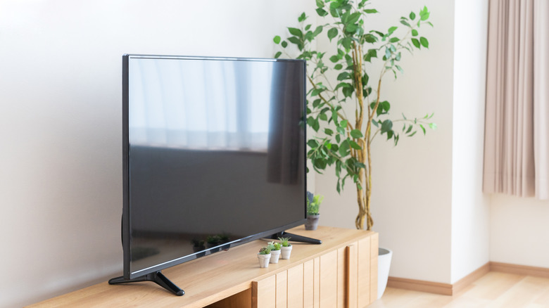 A TV on a media stand next to a plant.