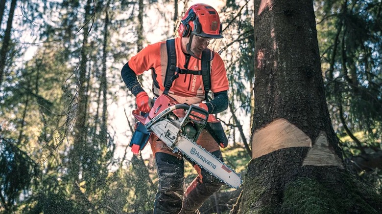 What is Husqvarna's most affordable chainsaw and is it any good?