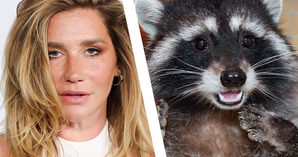 Ghost hunter Kesha cannot scare away a raccoon