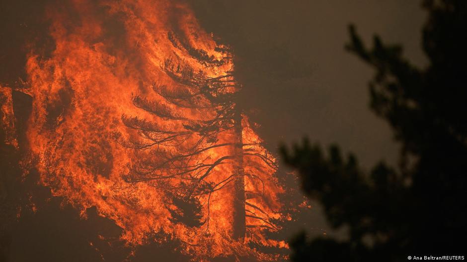 The fire has been raging in an area just 100 kilometers from Madrid
