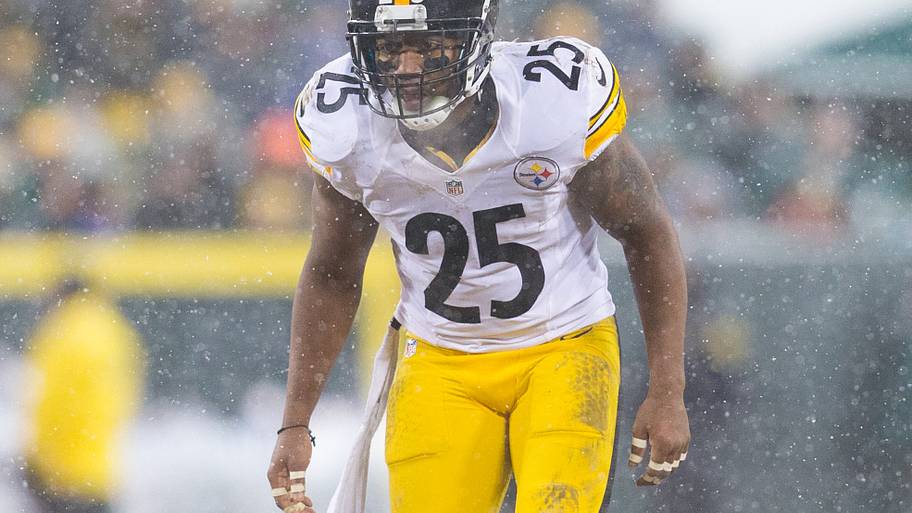 Pittsburgh Steelers safety Ryan Clark (25)