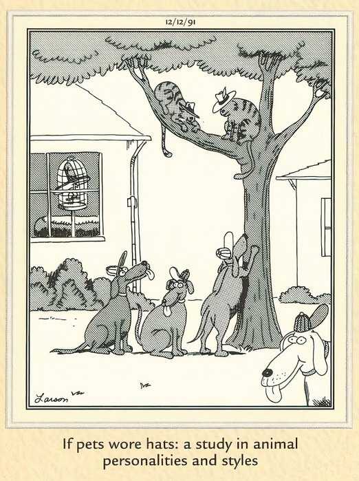 Far Side Fashion - Animal Fashion Trends