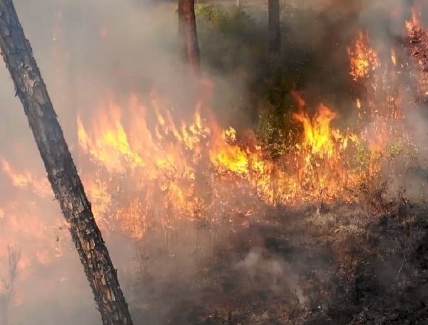 Florida Forest Service suspends outdoor burn permits across five central Florida counties