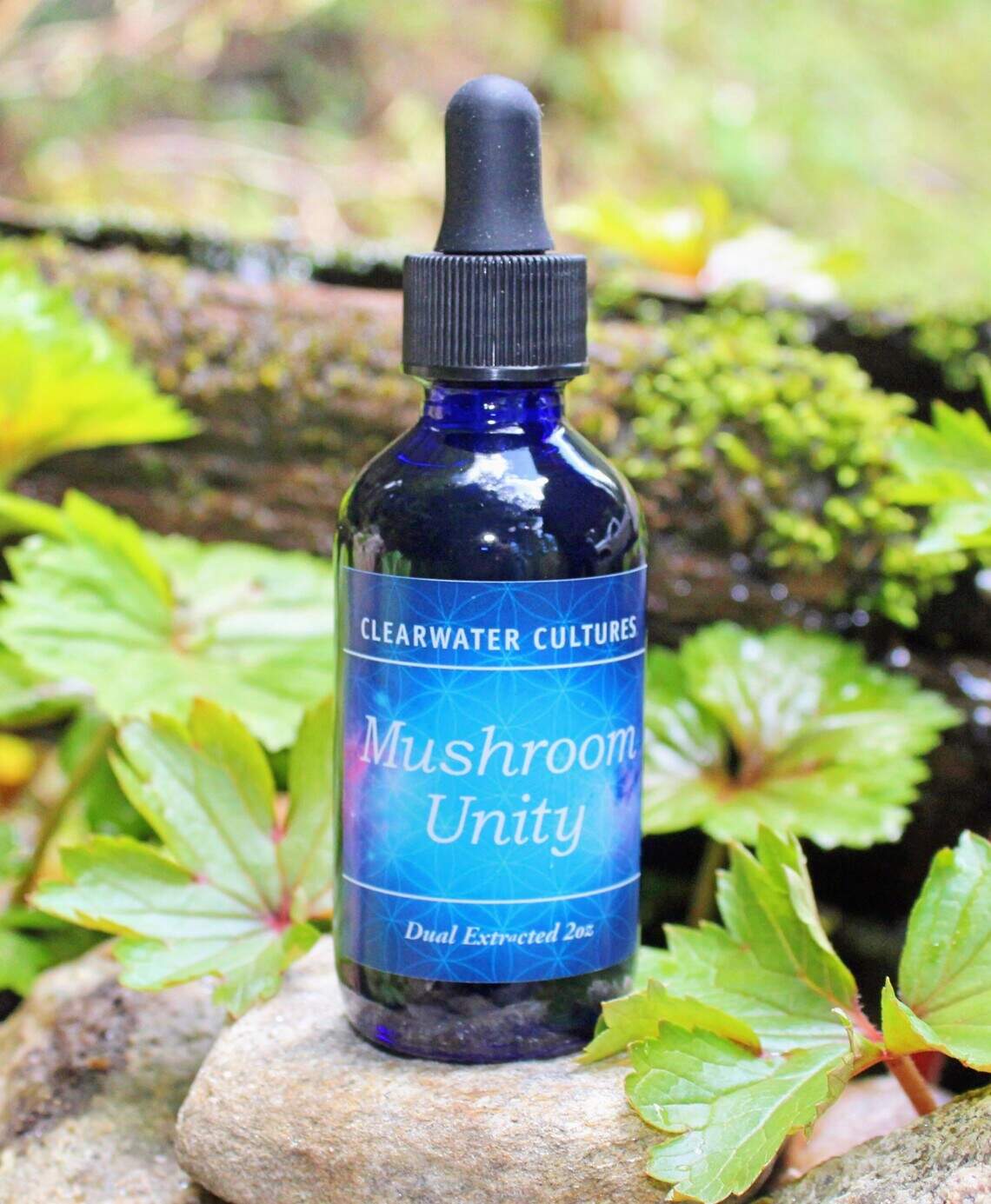 One example of Clearwater Cultures edible products are their tinctures. Examples include the Reishi Mushroom Dual Extract and the St. John’s Wort Tincture.
