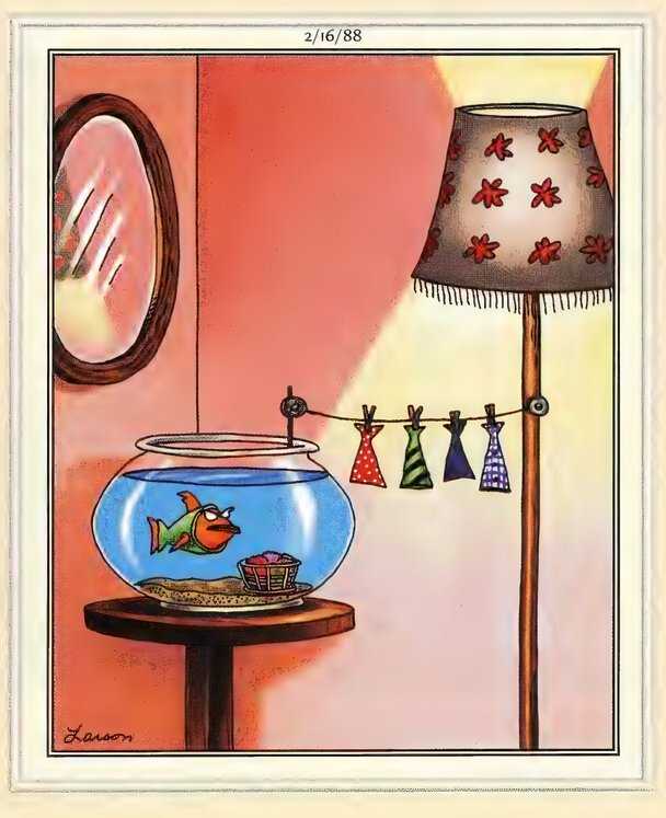 Far Side Fashion - Even Fish Need to Worry About Laundry