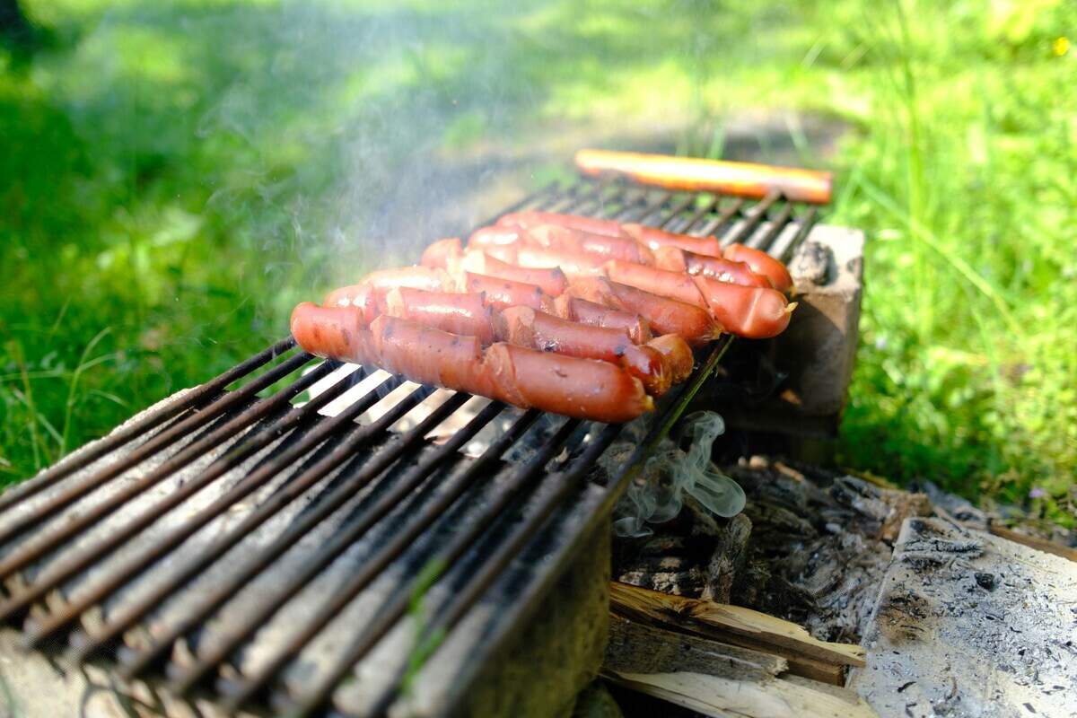 Come for the franks, stay for the fun at PPPD’s free community pop-up event