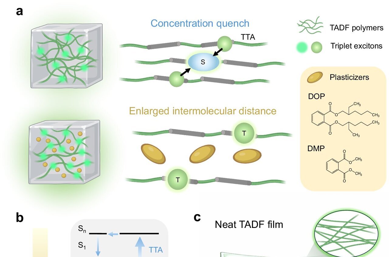 Common plastic additive makes stretchable OLED displays brighter and more elastic