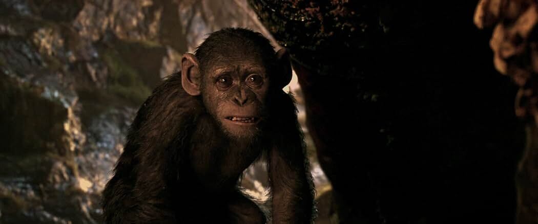 Devyn Dalton appears as the character Cornelius in the 2017 film 'War for the Planet of the Apes.' / 20th Century Fox.