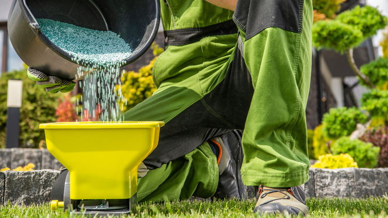 Why You Should Think Twice Before Applying Fertilizer To Wet Grass