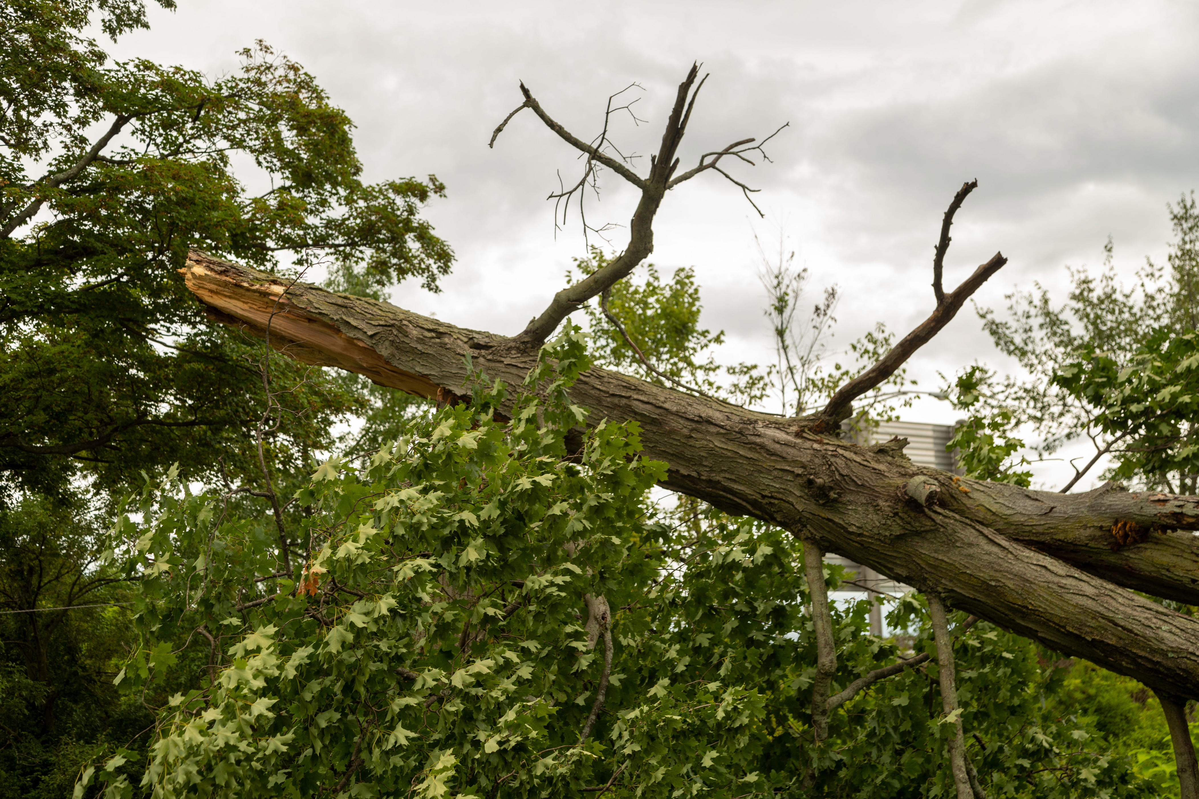 'It's nasty.' Severe thunderstorms leave more than 1,600 without power