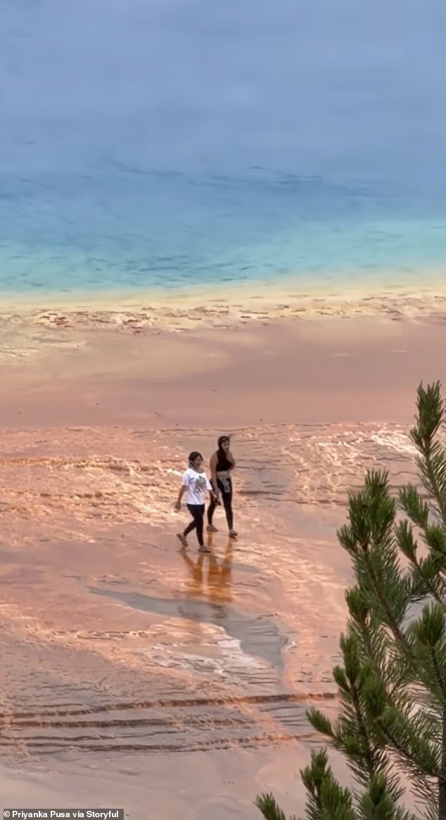 A pair of women at Yellowstone National Park are being ridiculed for walking dangerously close to the Grand Prismatic hot spring around 7pm on Sunday