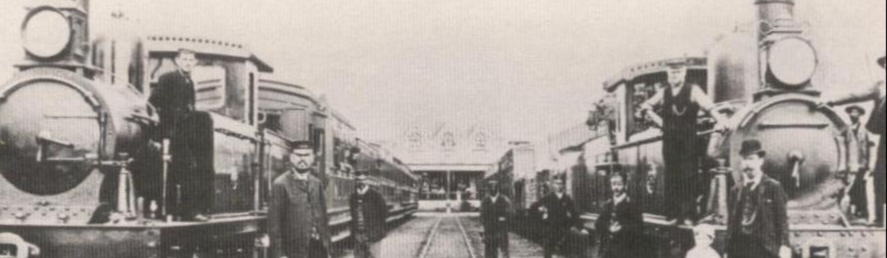 The baboon who worked as a railway signalman