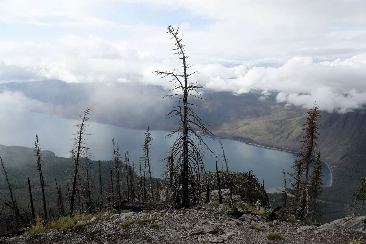 Report on man killed by Glacier National Park grizzly contains disturbing new details
