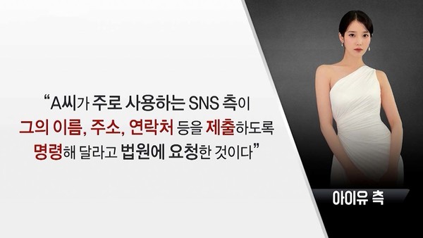 아이유, 악성 게시물 작성자 추적 위해 미국 법원에 신원 조회 신청