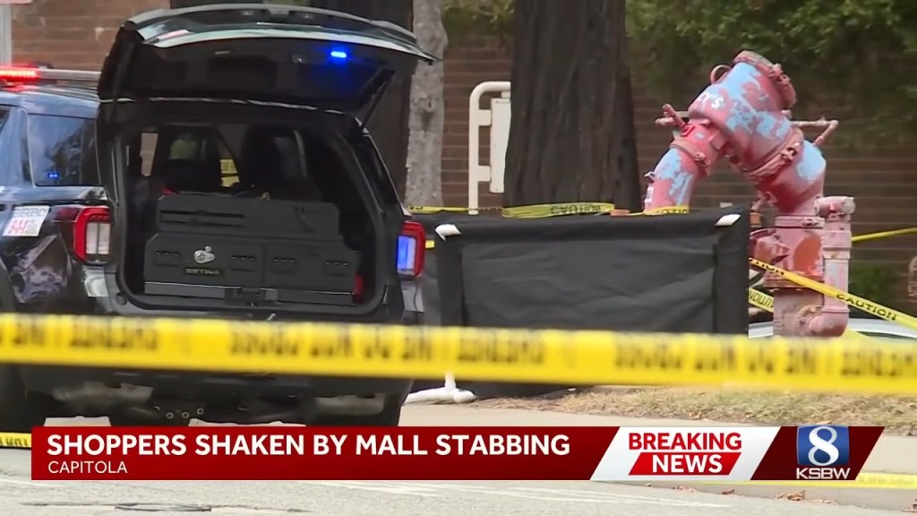 Beloved artist stabbed to death in attack by 19-year-old that’s rocked quiet California beach town