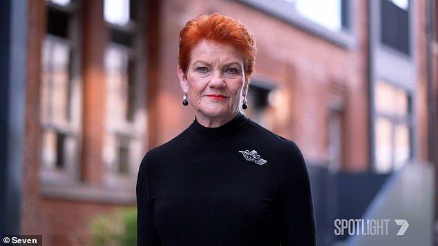 The meeting followed criticism from senior Labor figures of Hanson's ties to Gina Rinehart. Hanson said Albanese's relationships should also be scrutinised