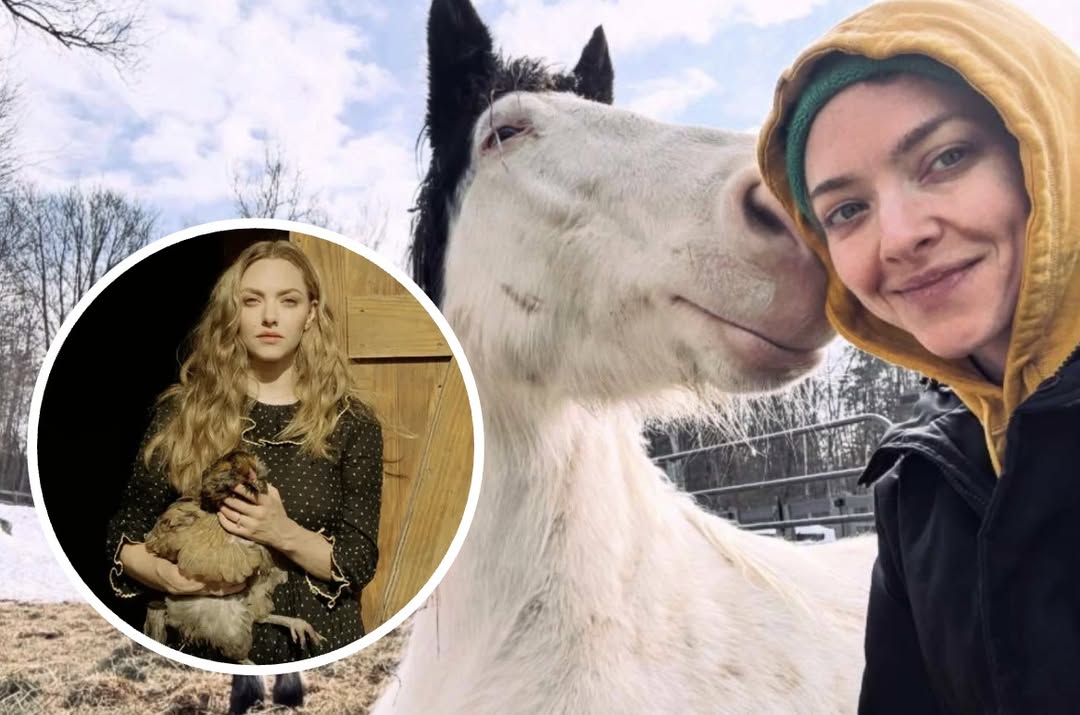 Hollywood's Secret Heart: Amanda Seyfried's