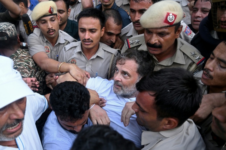 Security personnel detained India's opposition leader Rahul Gandhi as he staged a sit-in protest calling for Prime Minister Narendra Modi's resignation