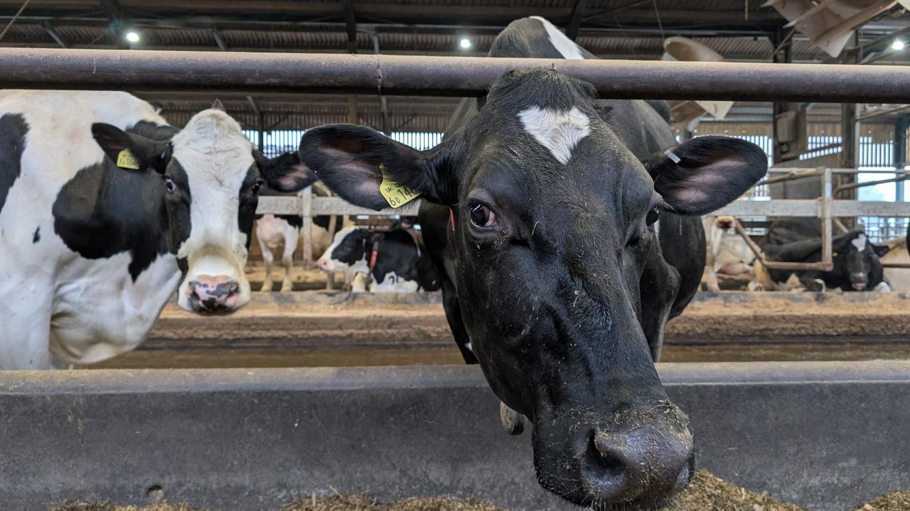 A study found Pembrokeshire's farmers could save £1m a year on fertiliser, while helping improve water quality