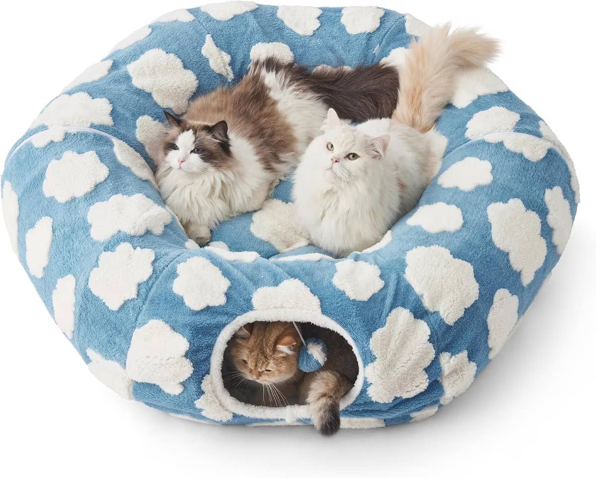 cloud-cat-tunnel-bedjpg