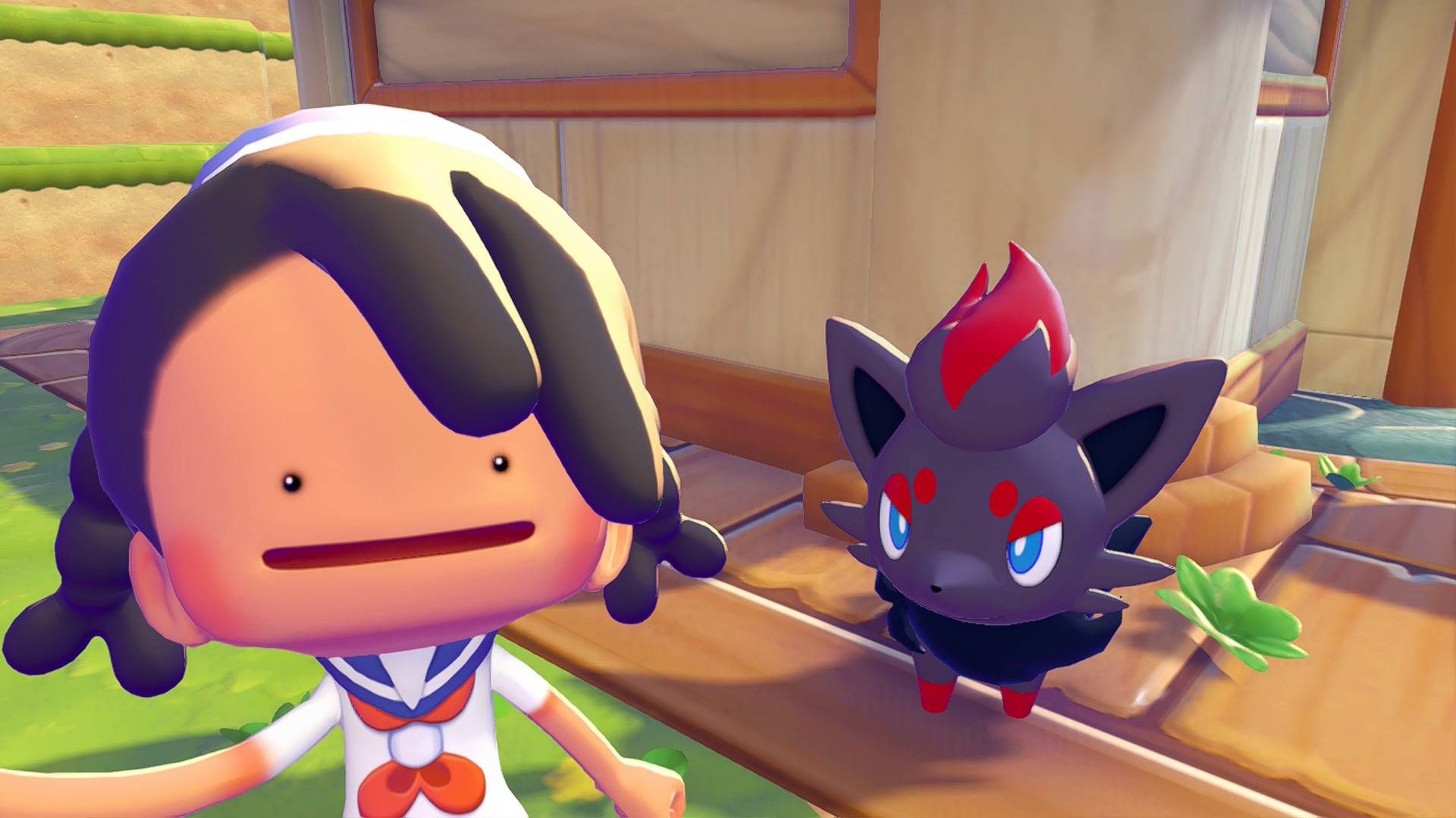 Pokémon Pokopia Zorua's hide-and-sneak contest event guide