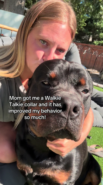 Ultimate puppy training hack that actually works!