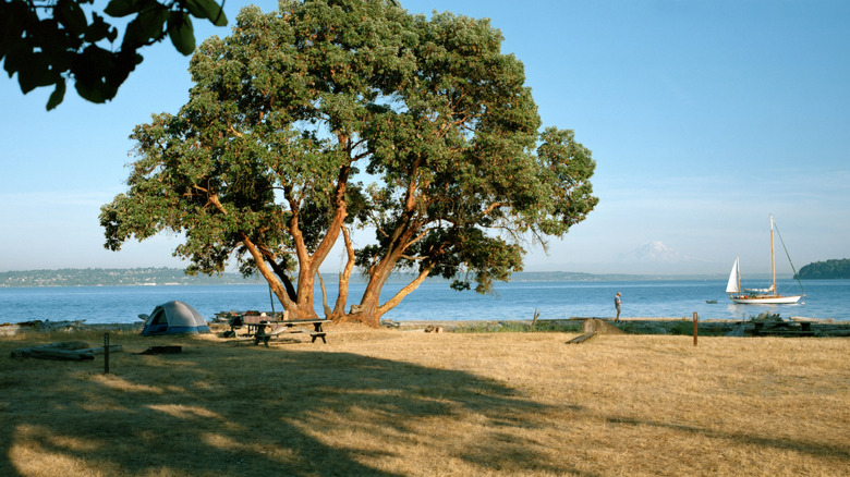 A summer afternoon on Blake Island in the Puget Sound, Washington, USA
