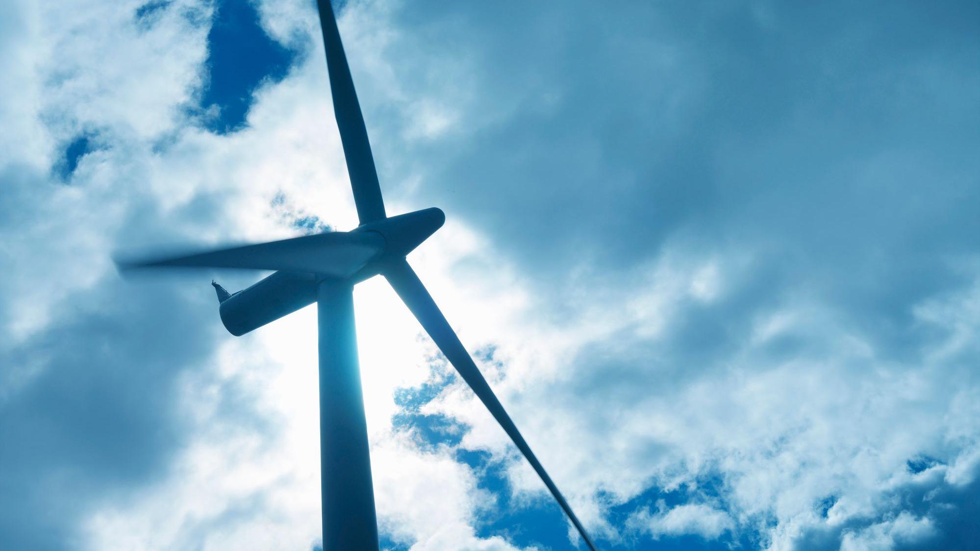 The wind farm would have been among the biggest ever built in the Borders