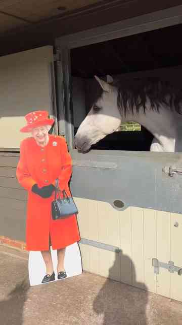 Queen’s Cheshire visit highlights R…