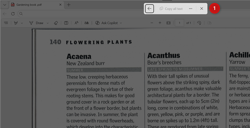 The Text Actions pop-up menu appears over a PDF in Microsoft Edge.