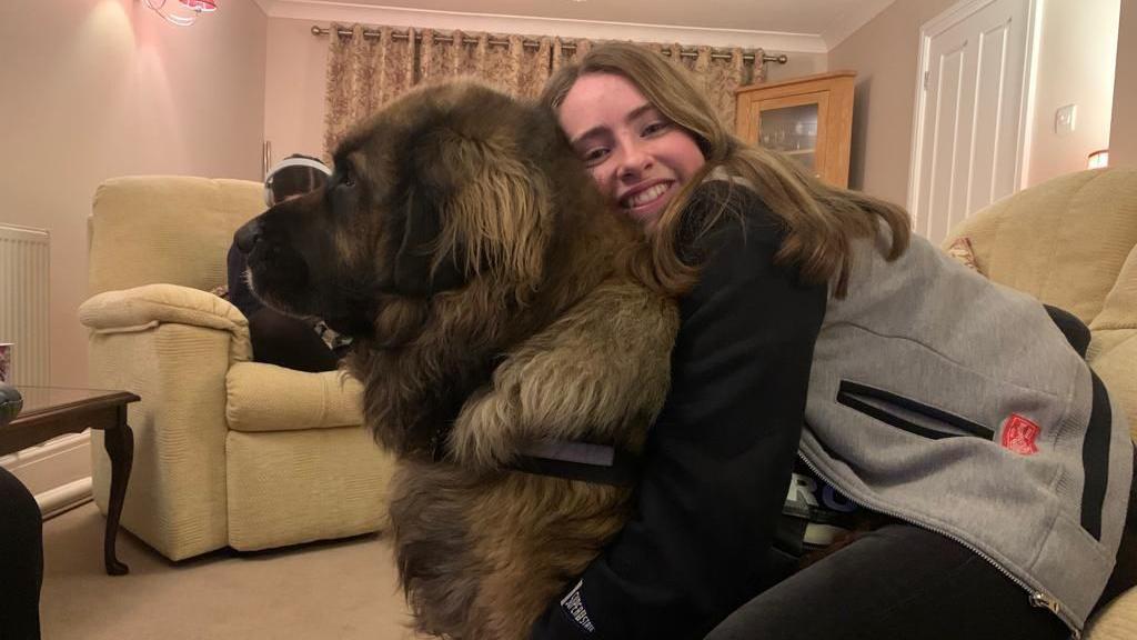 Hero, a Leonberger with a double coat, grew to be 10.5 stone